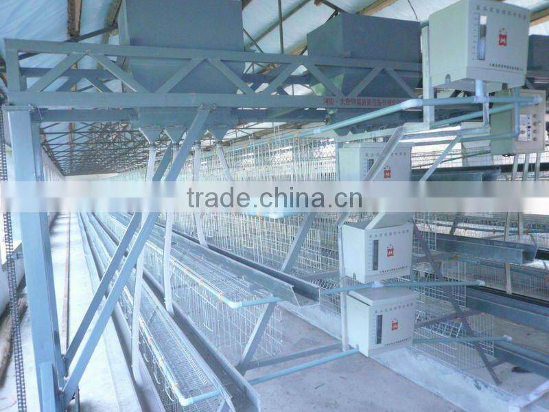 Layer chicken feeder
