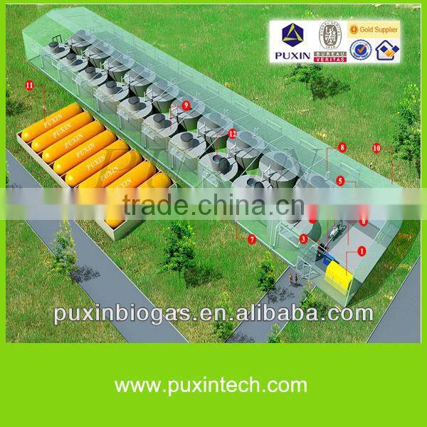 PUXIIN durable sustainable development medium and large size biogas digester