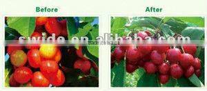 Liquid Organic Calcium Fertilizer