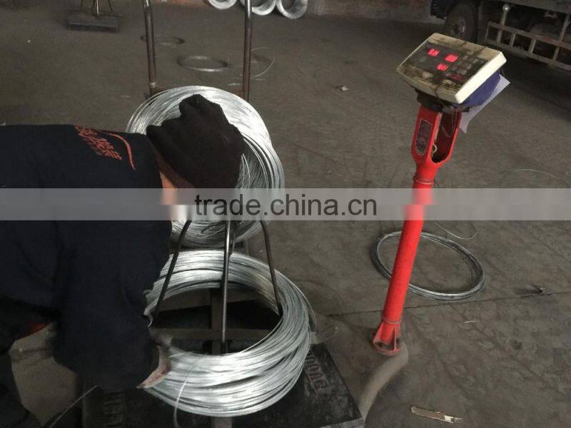 gi binding wire/electro galvanized wire/Galvanized Binding Wire