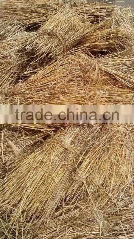 High Quality Binder,Fixed bundling machine TM5552 ,binding machine With Low Price