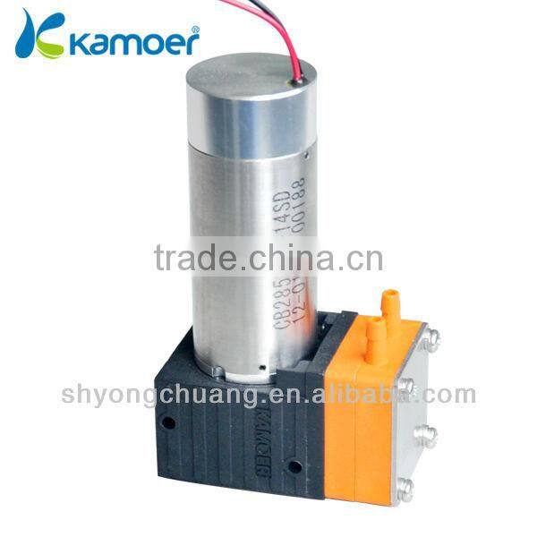 12v Two heads Brush motor Kamoer diaphragm Pump (KLP01)