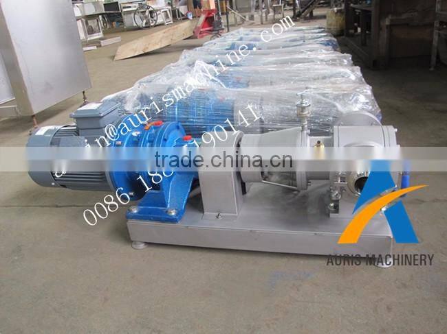 Stainless steel hot refined chocolate transfer pump