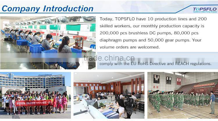 12v 24v dc brushless centrifugal silent pump for food grade