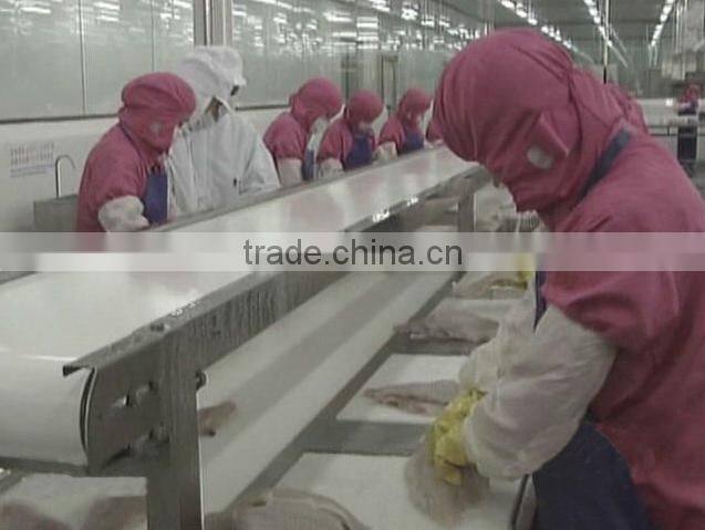 Frozen moonfish fillets