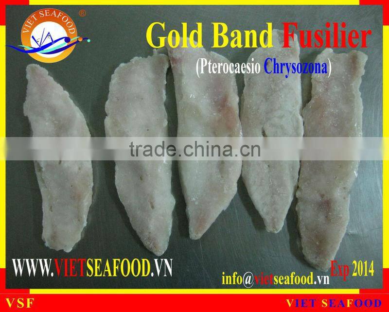 FROZEN GOLD BAND FUSILIER FILLET