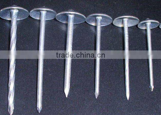 galvanized roofing nails price