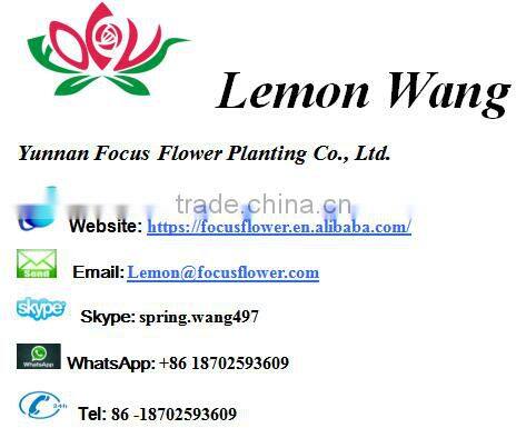 Artificial Easter Double Llily Flower