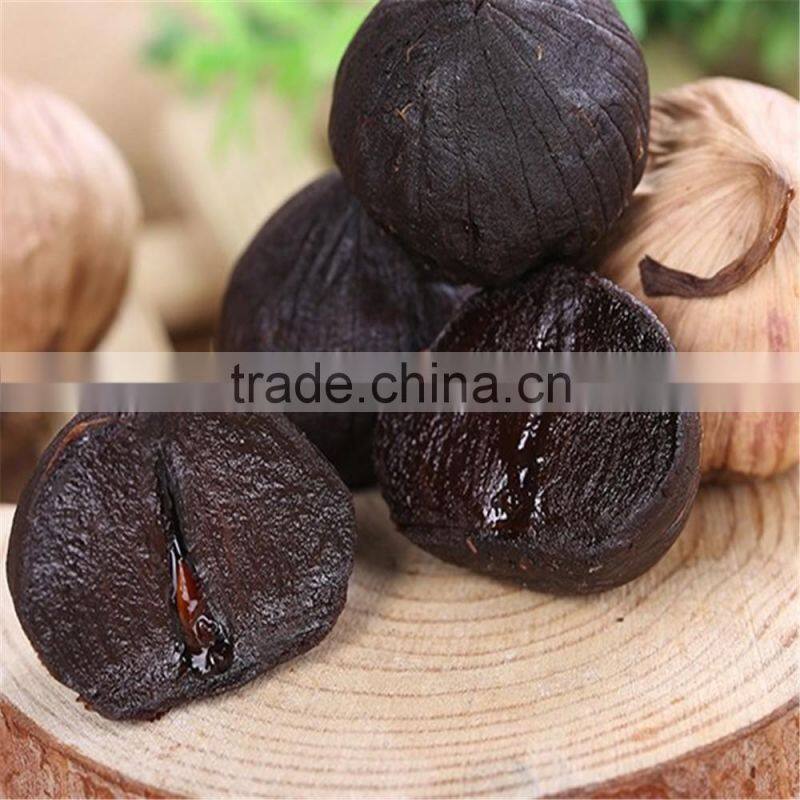 Korean Hot Sale Solo Black Garlic in selling