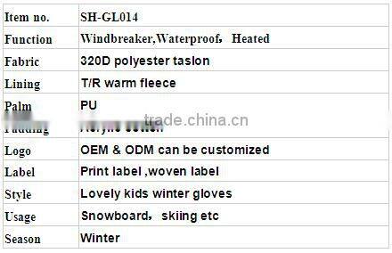 Waterproof Heated Ski Gloves for Kids