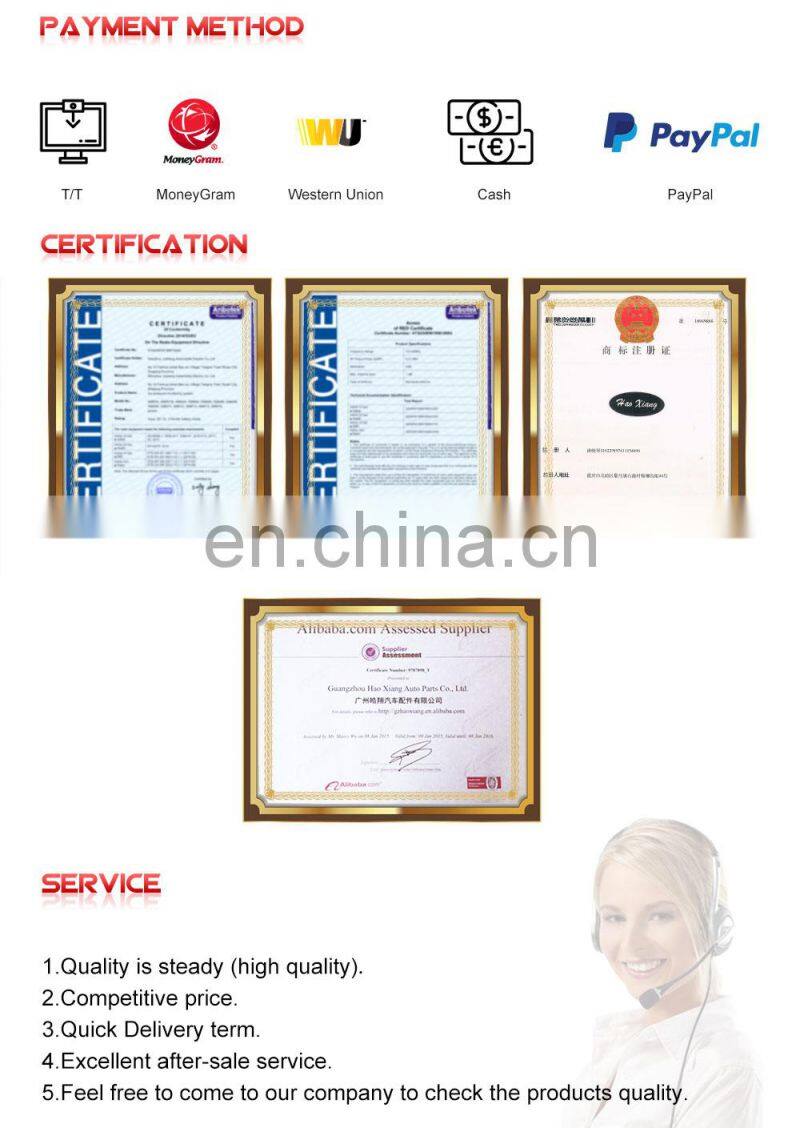 OEM HaoXiang Auto Door Lock Actuator 51217281949