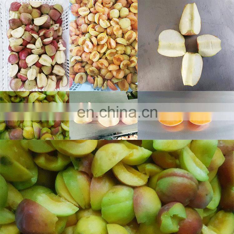 Runxiang Apple Jujube Peach Apricot Quince Oli Corer