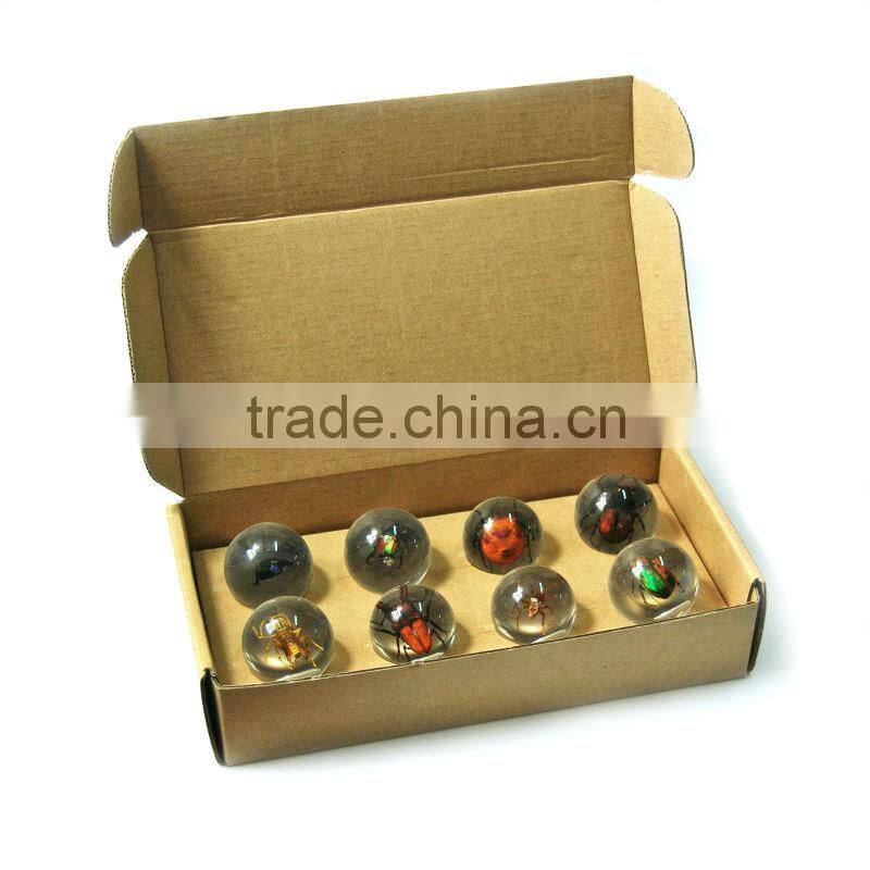 6.0 cm real resin acrylic marble ball with bugs