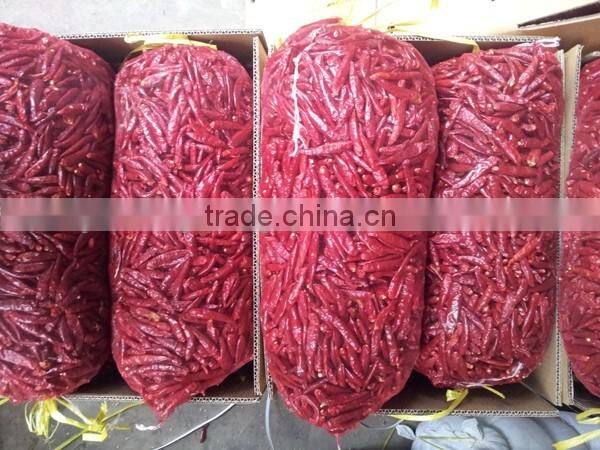 indian dry red chilli