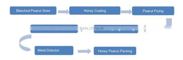 Continuous Honey Coated Peanut New Designed Peanut Coating Production Line