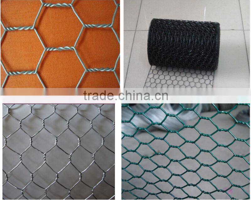 Electro Galvanized Hex Wire Netting