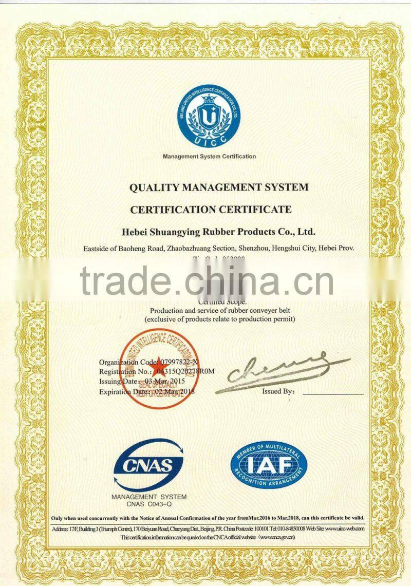 Flat Conveyor Belts from China