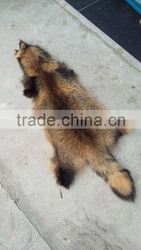 Genuine Animal Skin Raccoon Dog Fur / Real Natural Fur Skin / White Raccoon Skin