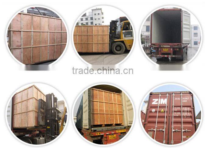 automatic pillow type shrink wrapping machine