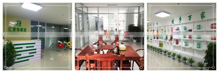 Organic morning green tea rich vitamin tea china exporters