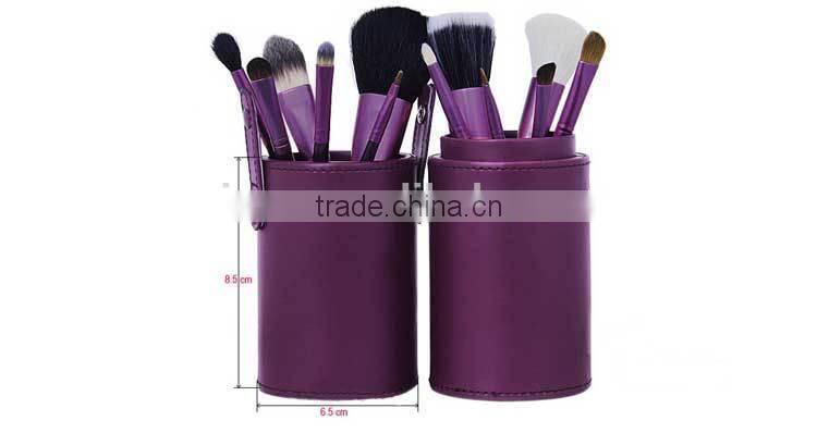 Professional Nylon Goat and Horse Hair 12Pcs Makeup Brush Tools