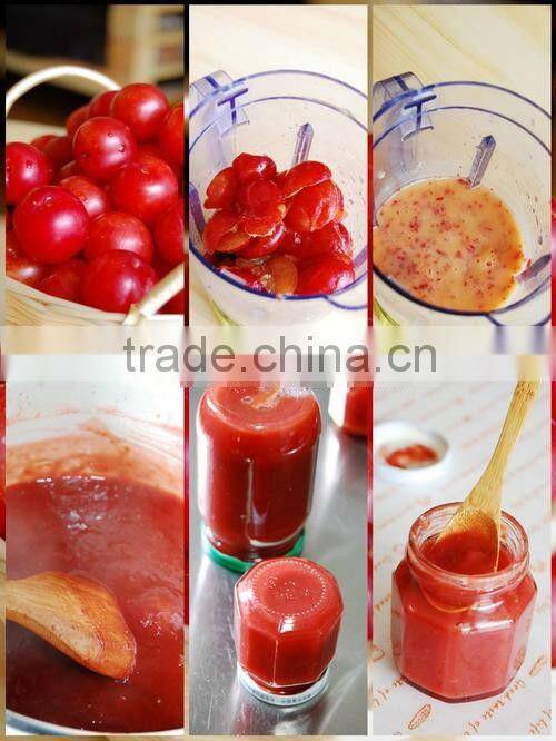 Whole Sale Fruit Vegetable Juicer