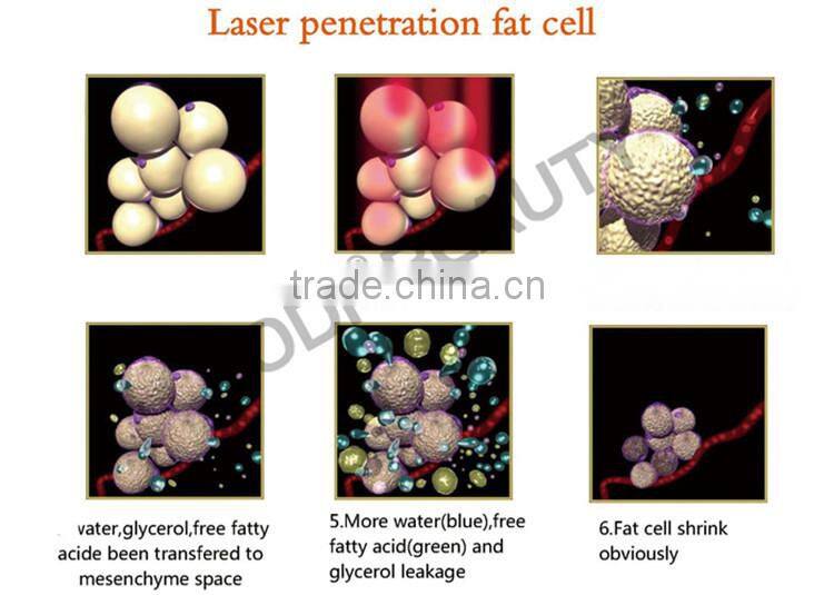 Japan imported pads! 650nm Lipo slim machine fat reducing laser
