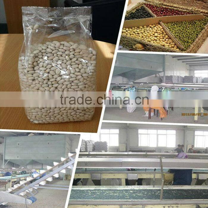 2016 Crop Green Mung Bean for Sprouting