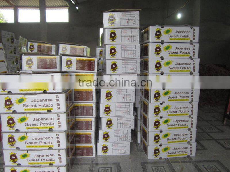 Fresh Sweet Potatoes best price