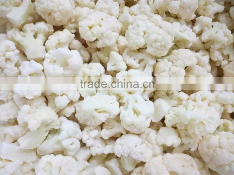 New crop IQF Frozen cauliflower-3-5cm