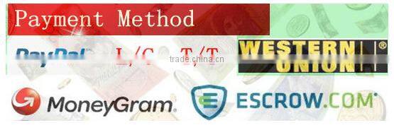 McDonald's cooperator new stainless steel electric spiral dough mixer