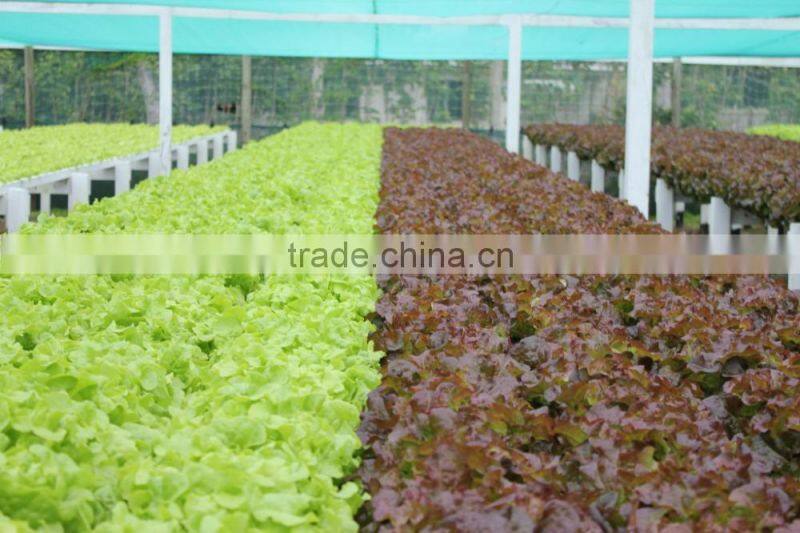 NFT Hydroponic Gully & Accessories