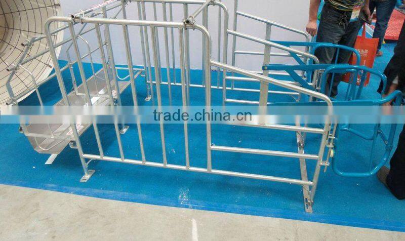 Pig Galvanized Equipment Pig Gestation Stall
