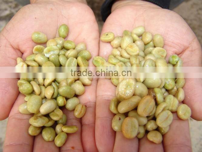 Popular High Efficiency Manual Coffee Pulper