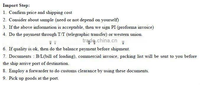 PET materail 300ml amber plastic shampoo bottle with pump dispenser