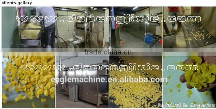 puffed cereal supercritical co2 extruder