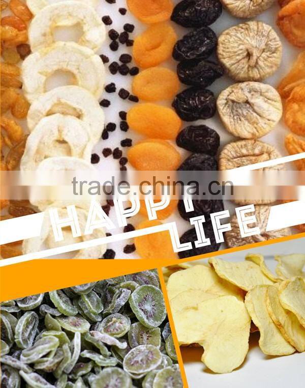 100-120 kg High quality fruit drying machine/fruit dryer with CE approved