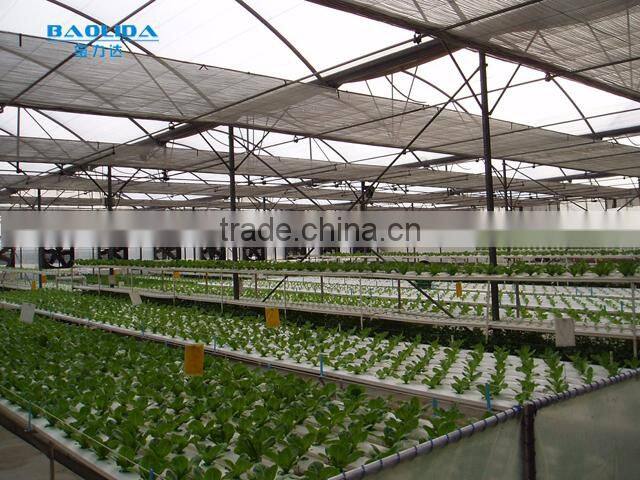 Glavanized Steel Structure Glass Covered Greenhouse