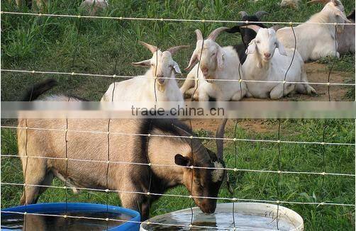 China High Tensile Galvanised Hinge Joint Cattle Farm Fence For Grassland