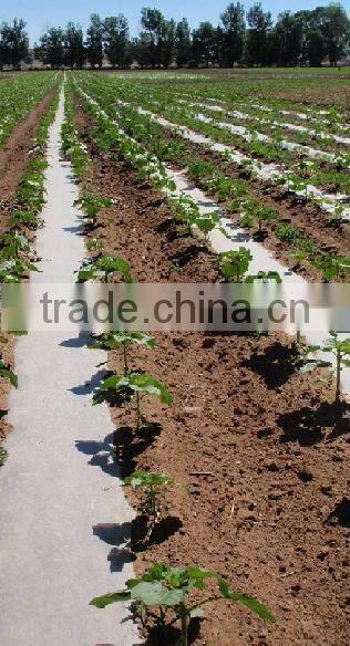 Agricultural PE Film