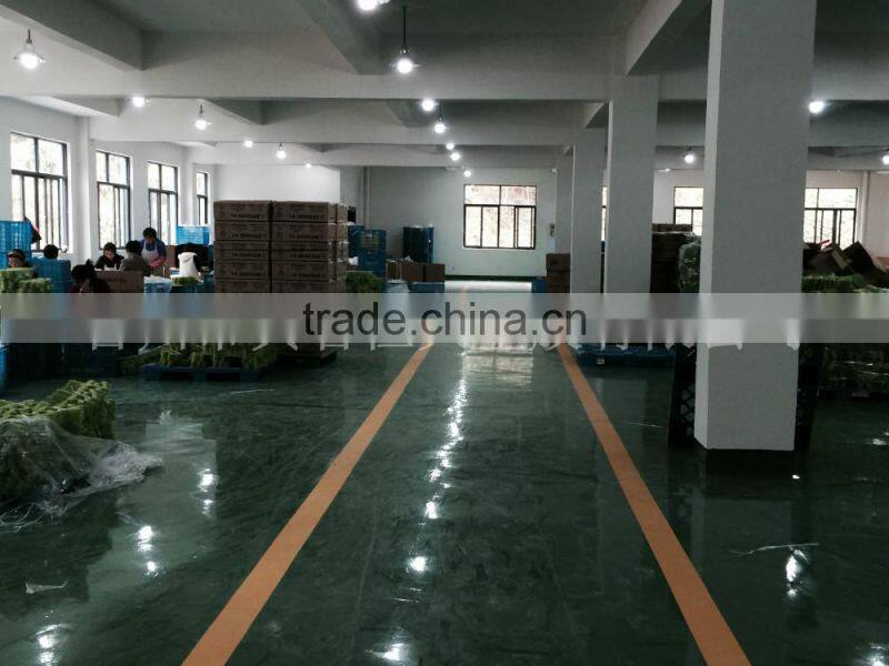 Bird Feeder plasic, window feeder, suction type feeder