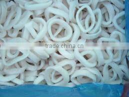 FROZEN SQUID