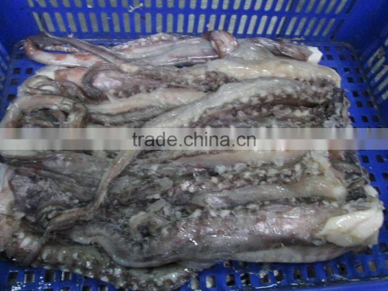 Natural sea Frozen Illex Squid