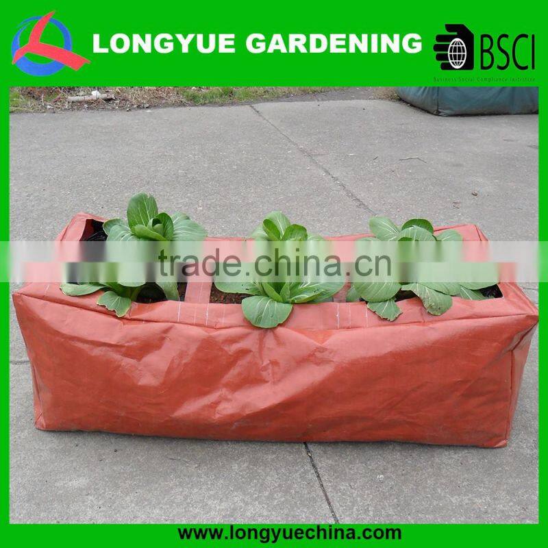 PE vegetable garden grow bag 3 pocket