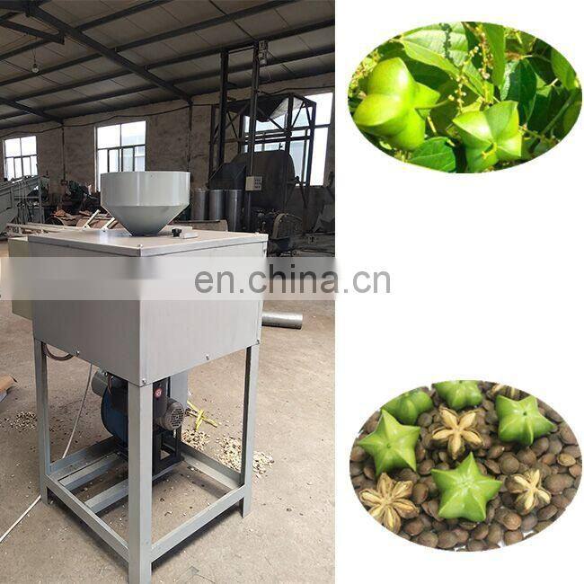 inchi peanut premium quality sachi nut machine