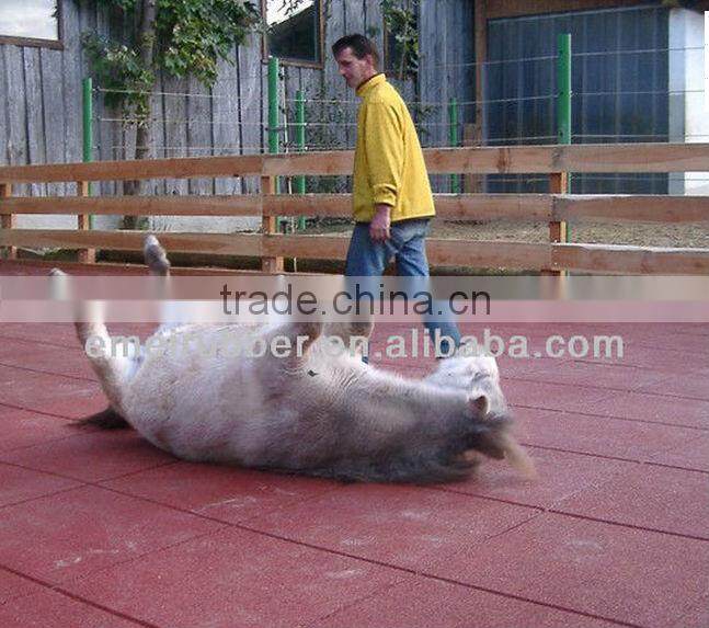 Horse stable rubber Flooring