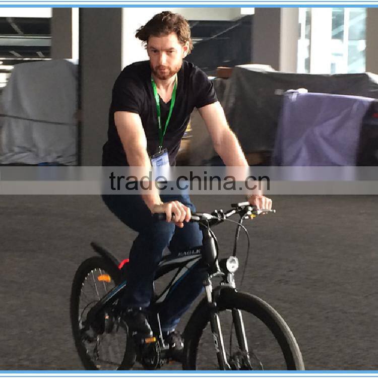 2015 simple shape 20inch folding electric bike battery rack with EN15194