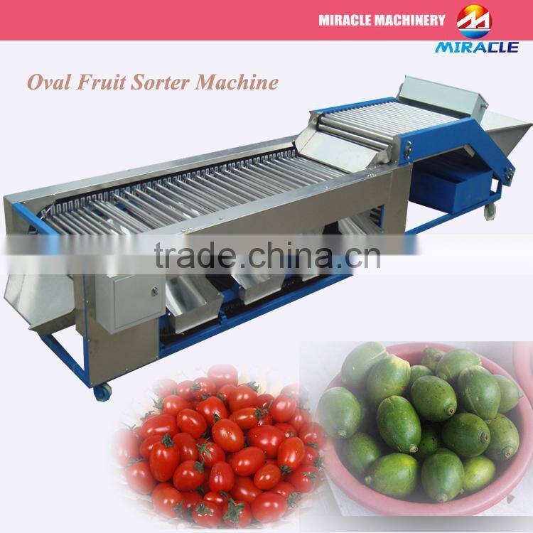 FRESH FRUIT AND VEGETABLE GRADING SORTER MACHINE PRICE