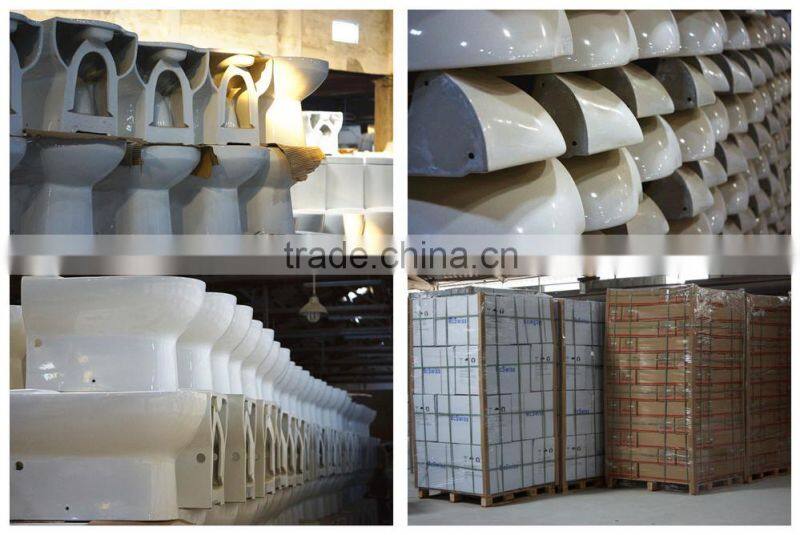 Two-Piece Washdown Watermark Toilet S/P Trap with GEBERIT or R&T Fitting Soft Cover, Australian Standard WELS WC-6002