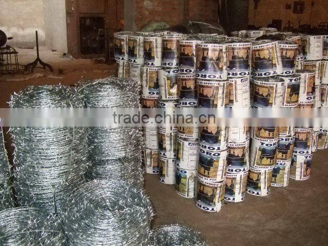 Hot dipped galvanized high quality double twisted barbed wire